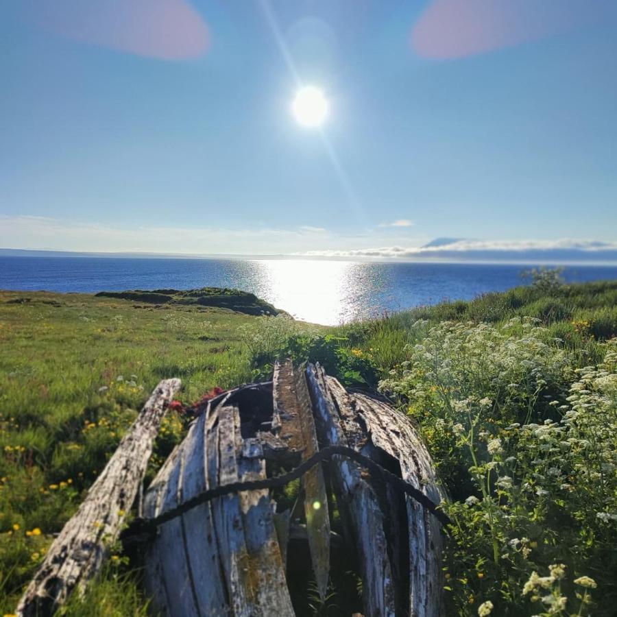 Happy-Cove Guesthouse - By The Sea Bakkafjorthur Exterior foto